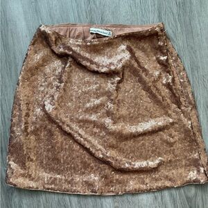 Abercrombie & Fitch Sparkling Sequin Skirt Size XS